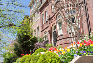 Fototapeta na wymiar Spring Flowers Richardsonian Romanesque Row Houses