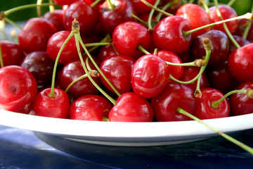 Rote Kirschen in weisser Schale