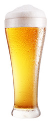 glass of beer