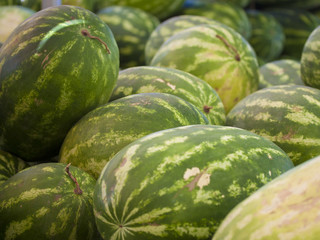 Watermelons at a market place