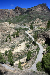 Fototapeta na wymiar winding road on Gran Canaria