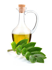 Jug of olive oil and branch of bay leaf isolated