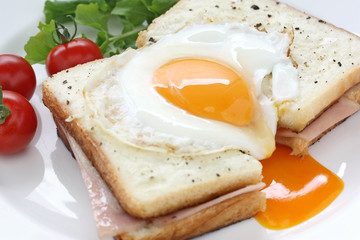 croque madame , french ham and cheese sandwich with fried egg