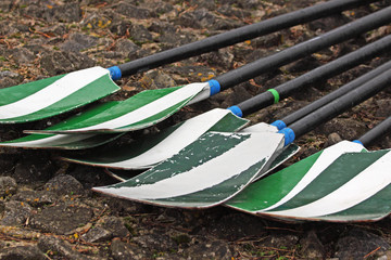 Oars laid out on a quay