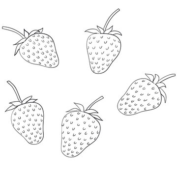 fragole