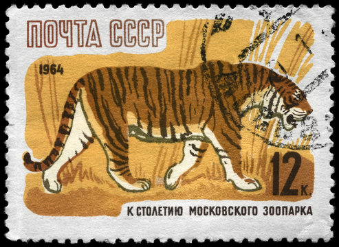 USSR - CIRCA 1964 Tiger