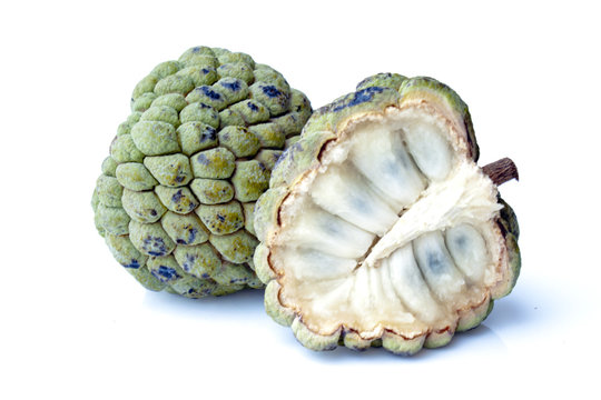 fruta do pinhal