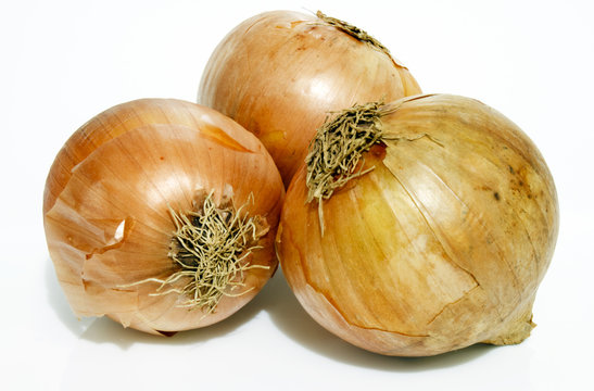 cebolas