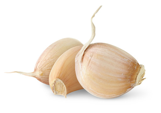 Isolated garlic. Three unpeeled segments of fresh garlic isolated on white background