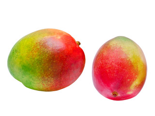 Mango isolated on white background