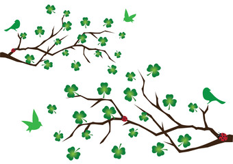 vector branches with shamrock and green birds