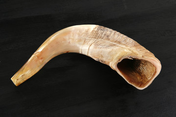 ram horn ( shofar ) on black