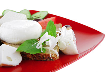 white mozzarella cheese
