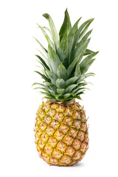 Pineapple is isolated on a white background