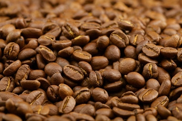 coffee beans