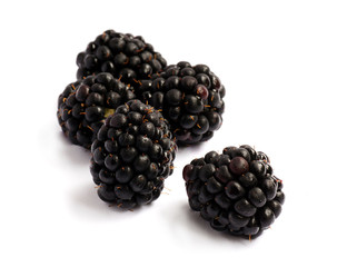 Black Berries on white