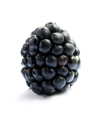 Black Berry on white