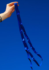 Das blaue Band