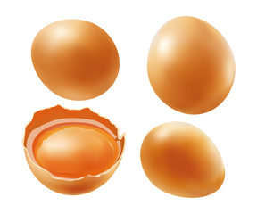 brown chicken eggs