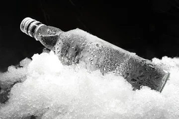 Foto op Plexiglas Close-up van de fles in ijs © fox17