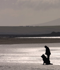 Dog walker on the beach