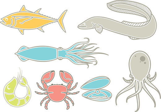 A set of most popular types of seafood