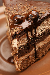 Homemade chocolate cake close-up