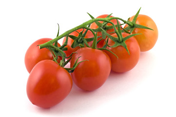Pomodori