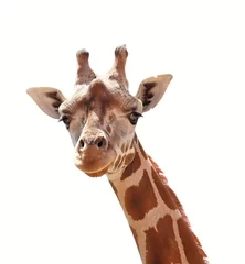 Papier Peint photo Girafe Girafe