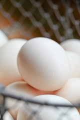 Oeuf de poule bio fermier en gros plan dans un panier d'oeufs