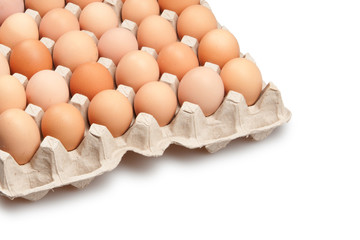 eggs