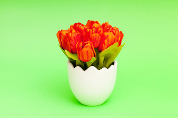 Colorful tulip flowers in the white pot