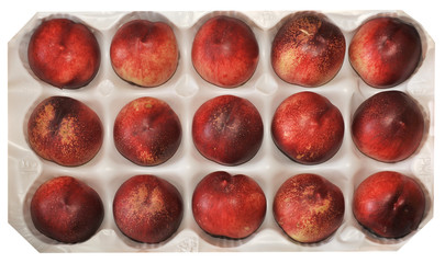 Plateau de nectarines