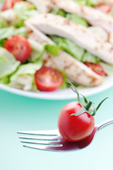 Fresh salad