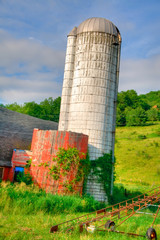 Old Barn and Silo Surrounded by Green Vines