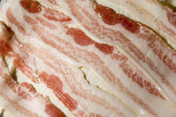 raw bacon strips on paper towel for microwave