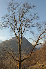 Obraz premium Mountain winter scene