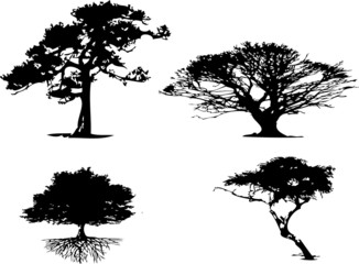 4 different types of tree silhouette