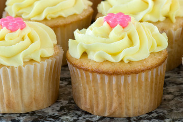 Vanilla Cupcakes with Lemon Icing