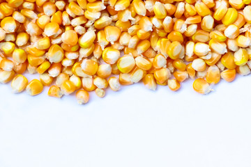 Yellow corn