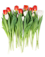 bouquet of red tulips