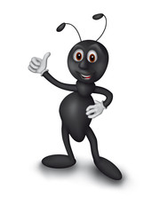 Black ant