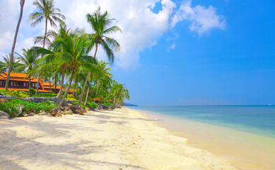 Obraz na płótnie Canvas beach and tropical sea.