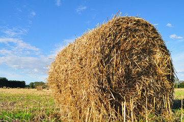 Straw bale on farmland