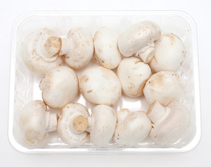champignons in a plastic box