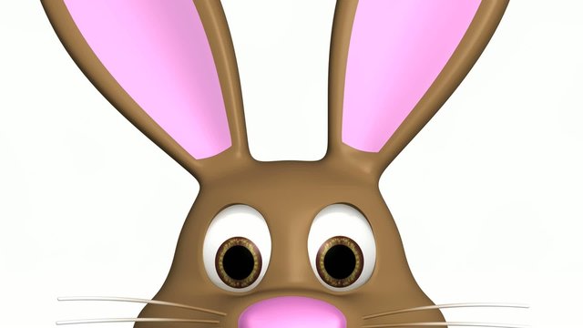 Hase schaut herein