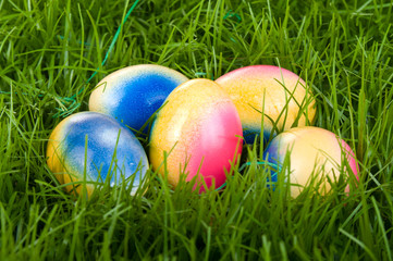 Easter eggs in grass