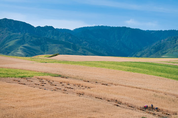 Obraz premium 田园风光