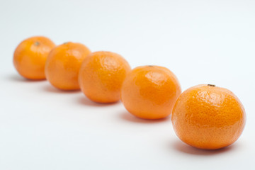 Tangerine in front in focus with blurred row in back on white