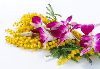 Mimosa e orchidea © Studio Gi